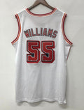 Jason Williams Miami Heat Official NBA Jersey Mitchell & product image 1