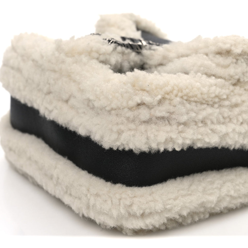 Sakai Be Green Calfskin Shearling Mini Dionysus Top Handle Bag Black product image 10, provided for visual reference and