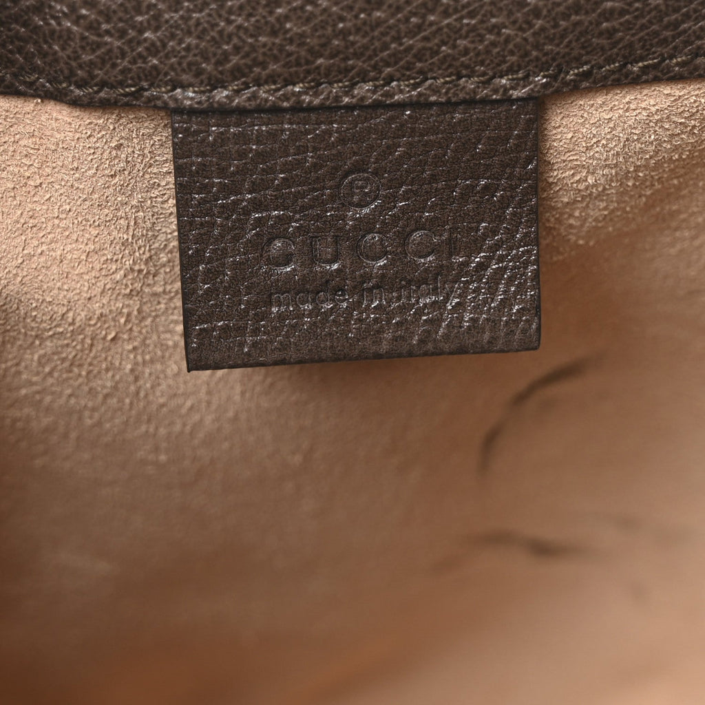 GG Supreme Monogram Web Mini Ophidia Bucket Bag Brown product image 6, provided for visual reference and product detail