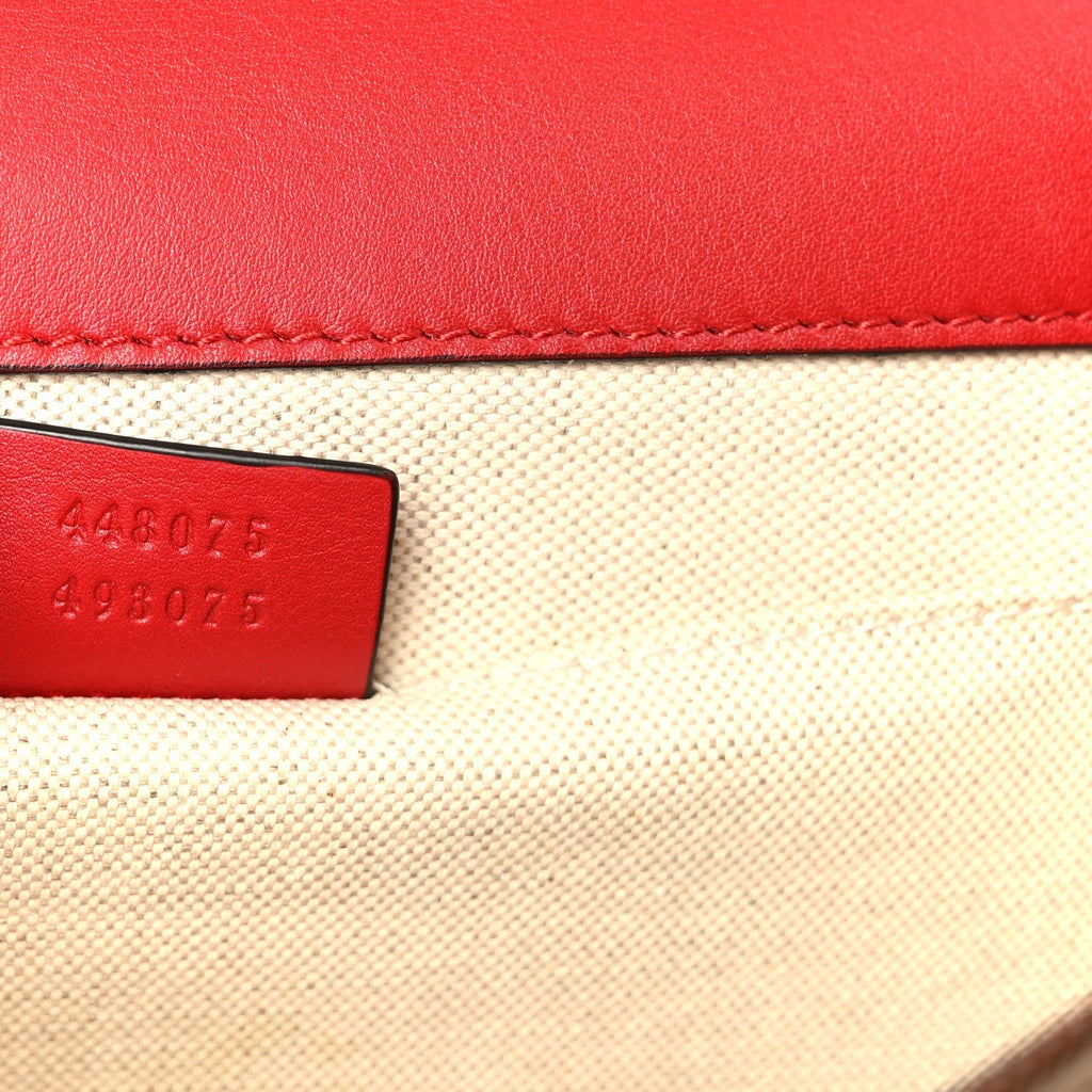 Calfskin Bamboo Web Medium Dionysus Top Handle Bag Red White Blue product image 8, provided for visual reference and product