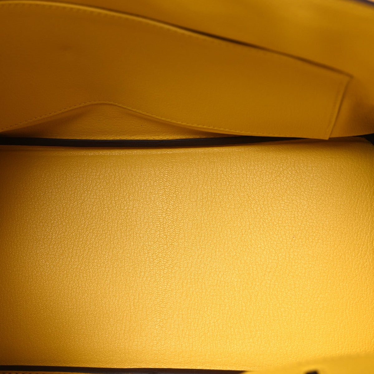 Togo Birkin 30 Jaune Citron product image 4, provided for visual reference and product detail review
