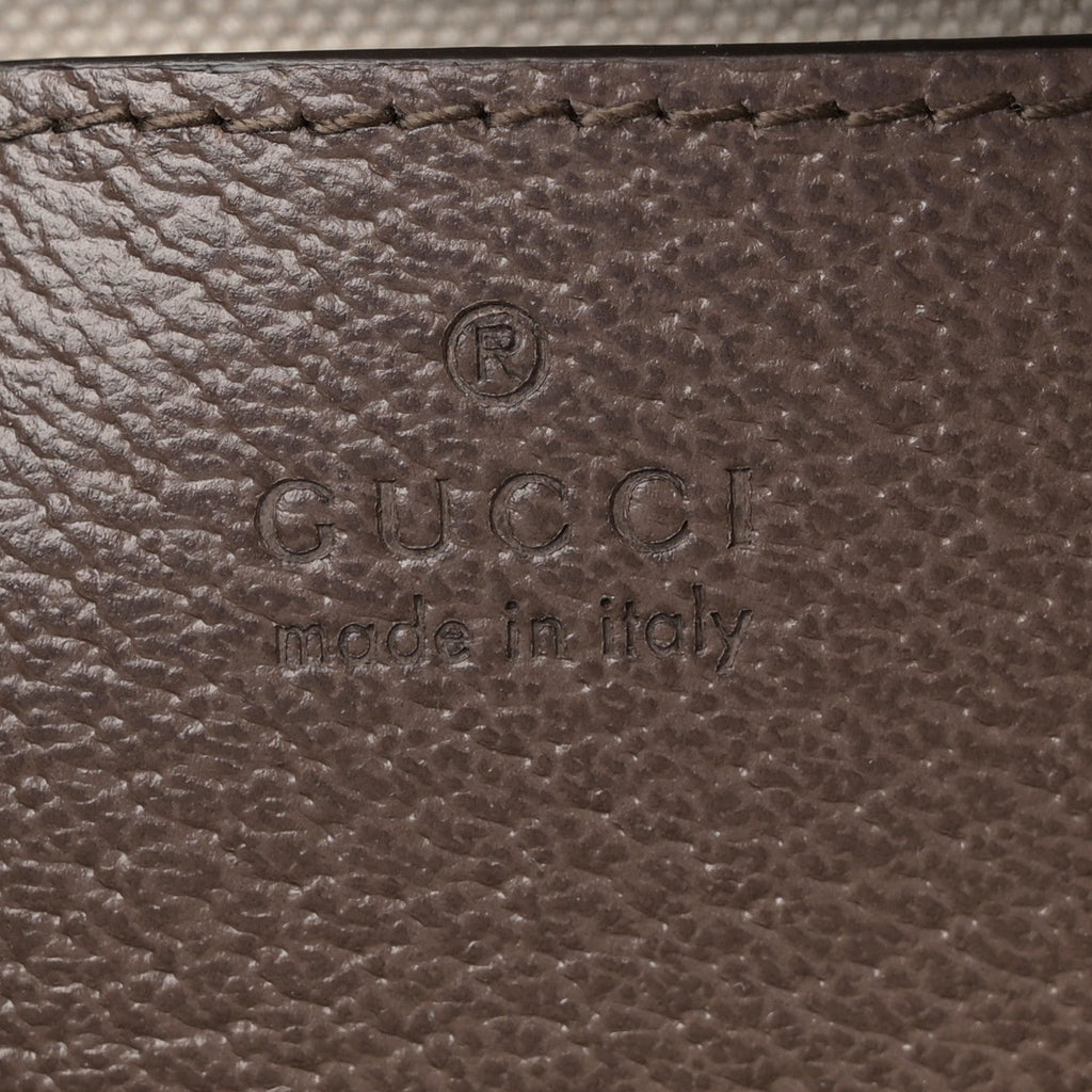 GG Supreme Monogram Textured Dollar Calfskin Web Mini Ophidia Top Handle Bag Beige Ebony New Acero product image 6, provided