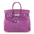 Lizard Birkin 25 Violet product image 1, provided for visual reference and product detail review