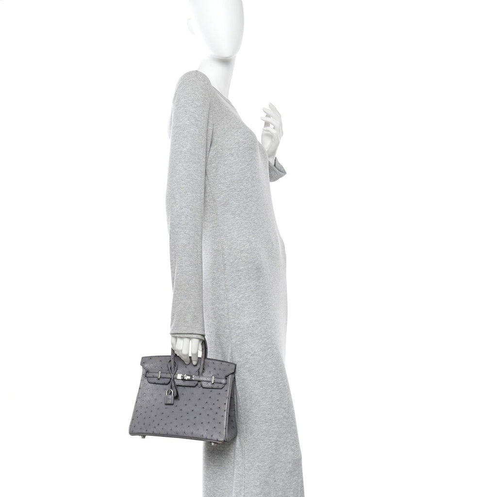 Ostrich Birkin 25 Gris Agate product image 2, provided for visual reference and product detail review
