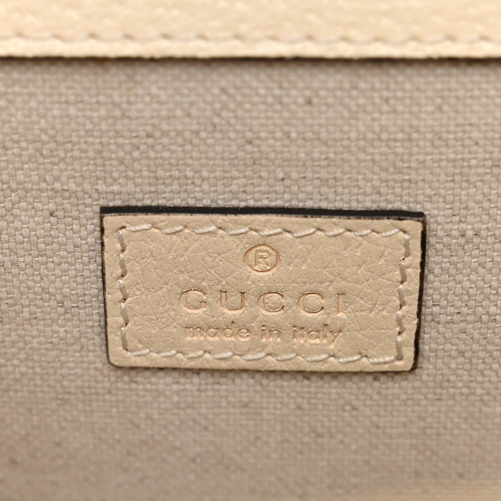 Textured Calfskin Crystal Mini Dionysus Shoulder Bag Mystic White product image 6, provided for visual reference and product