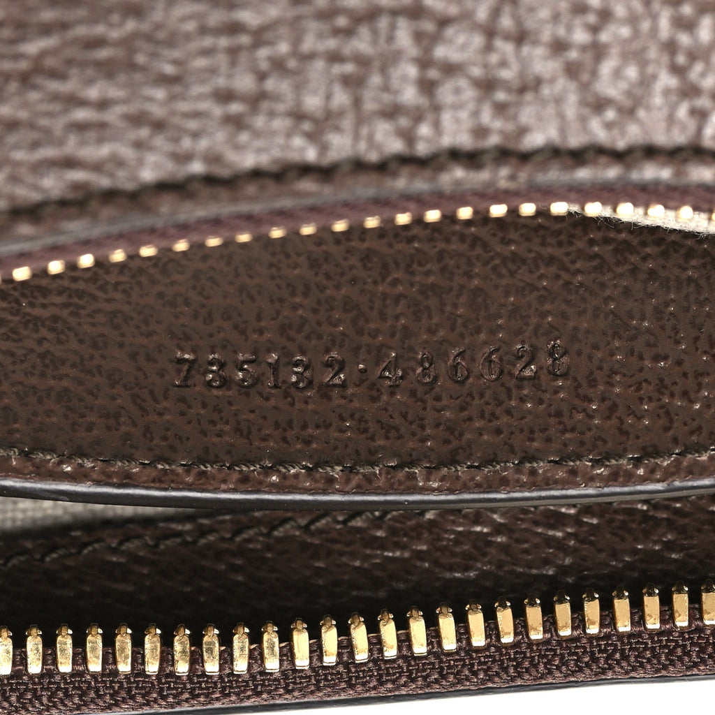 GG Supreme Monogram Textured Dollar Calfskin Web Small Ophidia GG Handbag Beige Ebony New Acero product image 7, provided