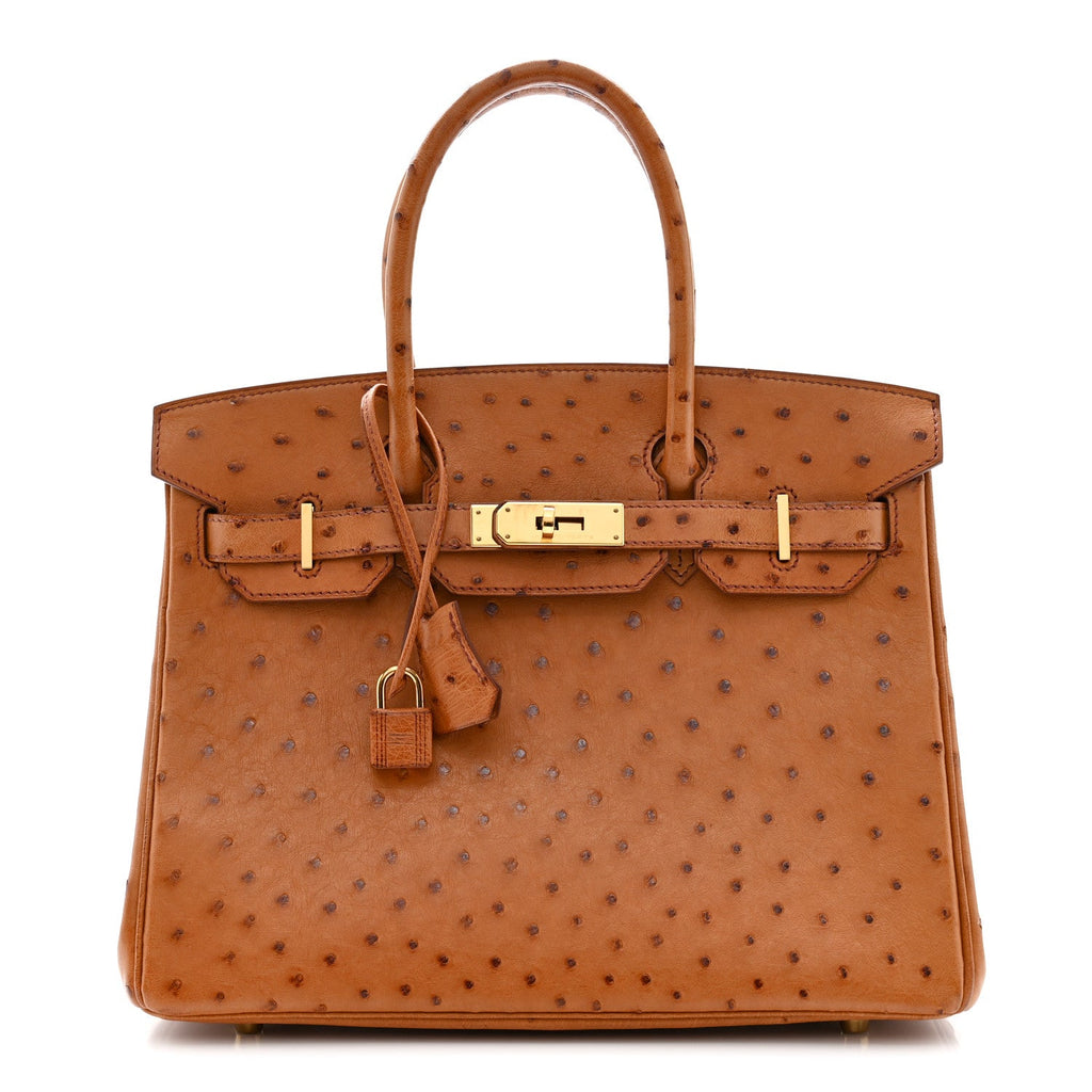 Ostrich Birkin 30 Cognac product image 1, provided for visual reference and product detail review