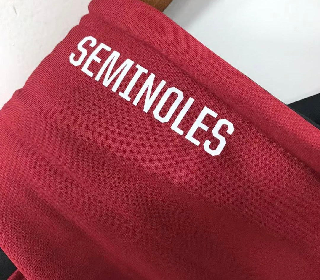 Florida State Seminoles Official NCAA hoodie product image 2