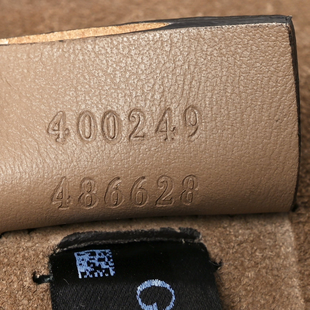 GG Supreme Monogram Blooms Print Embroidered Small Dionysus Shoulder Bag Blue Taupe product image 7, provided for visual