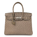 Ostrich Birkin 30 Mousse product image 1, provided for visual reference and product detail review