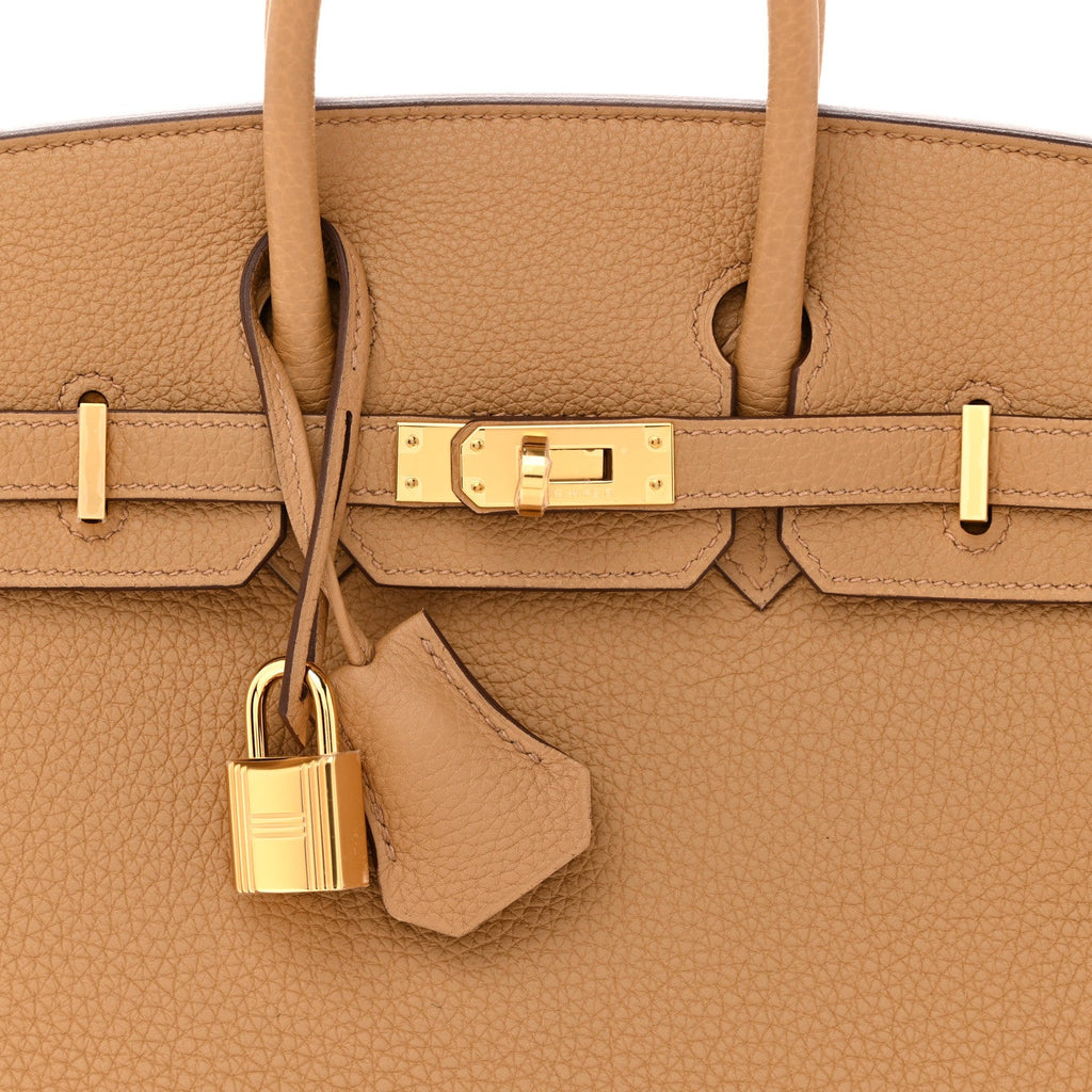 Togo Birkin 25 Biscuit product image 8, provided for visual reference and product detail review