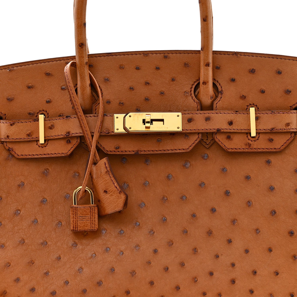 Ostrich Birkin 30 Cognac product image 8, provided for visual reference and product detail review