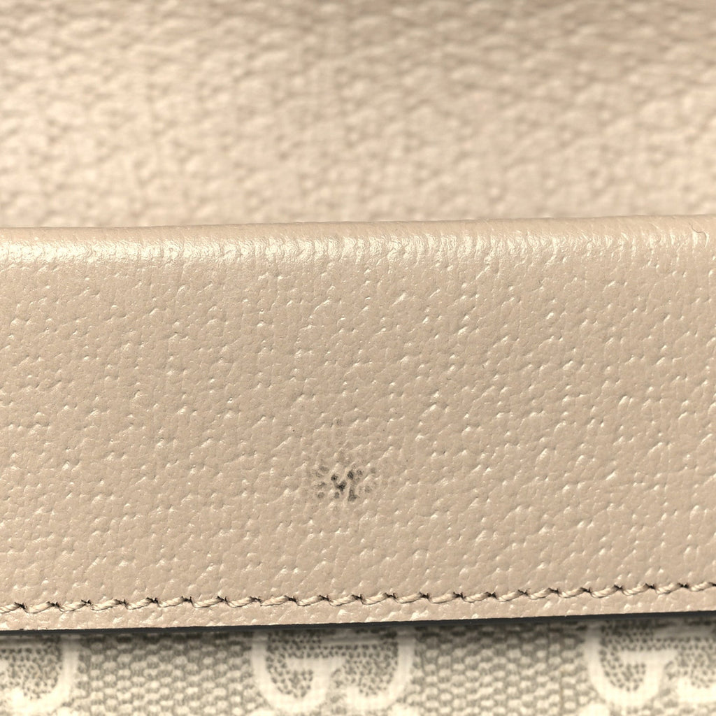 GG Supreme Monogram Textured Dollar Calfskin Super Mini Dionysus Shoulder Bag Beige Mystic White Oatmeal product image 11,