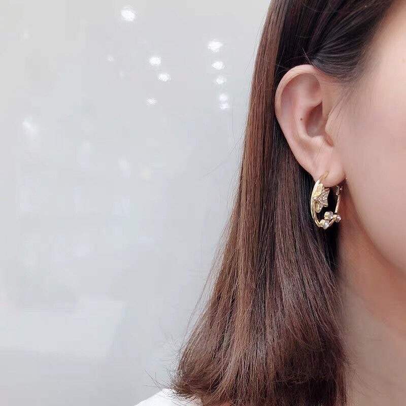Dior Star Pink Crystals 18K Gold Earrings product image 3, provided for visual reference and product detail review